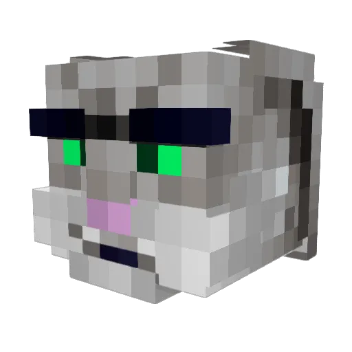 Blackwell65 Minecraft avatar head, 3D render