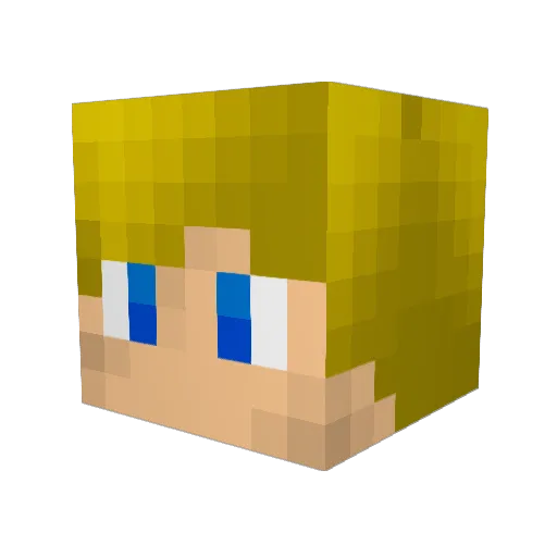 Blackwiesel Minecraft avatar head, 3D render