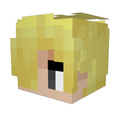 Blackwolf02 Minecraft avatar head, 3D render