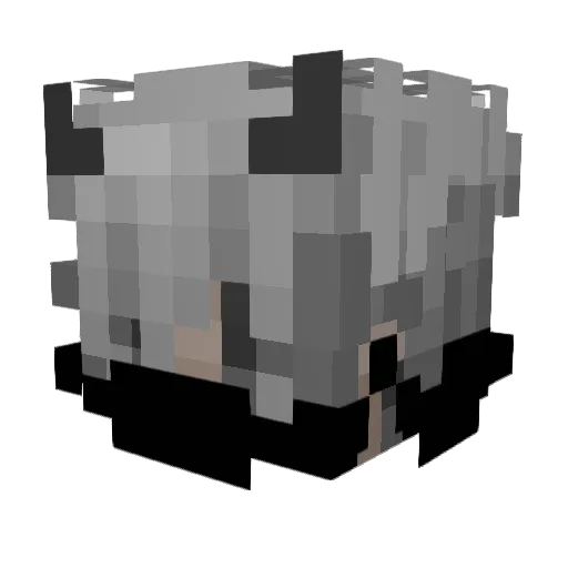 Blackyz Minecraft avatar head, 3D render