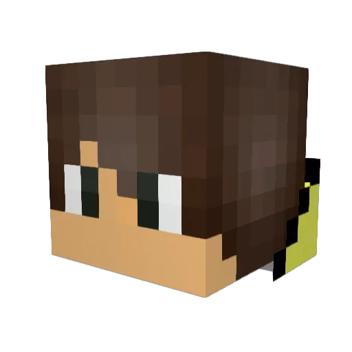 Blade1656 Minecraft avatar head, 3D render