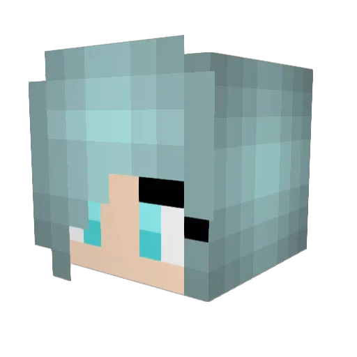 BladeCat08 Minecraft avatar head, 3D render