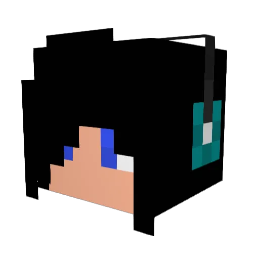 Blader123456789 Minecraft avatar head, 3D render