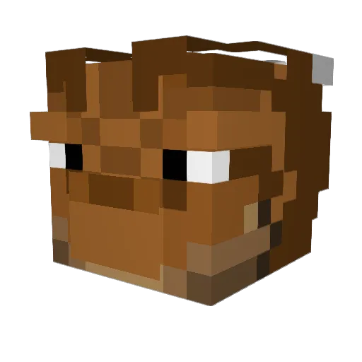 Bladesmith59 Minecraft avatar head, 3D render