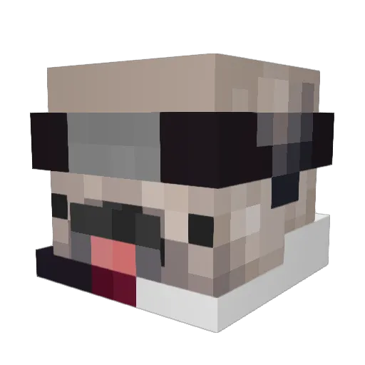 Blaenk Minecraft avatar head, 3D render