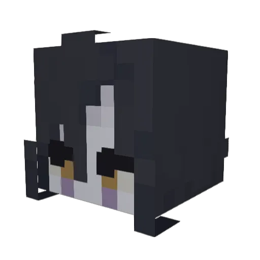 BlaffleYT Minecraft avatar head, 3D render