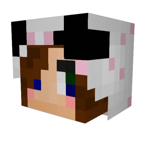Blagzagger123 Minecraft avatar head, 3D render