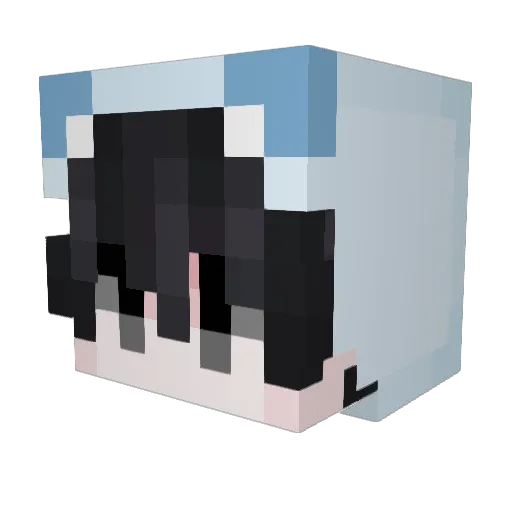 BlahAlpaca Minecraft avatar head, 3D render