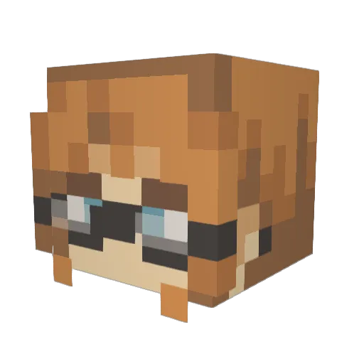 BlahTimey Minecraft avatar head, 3D render