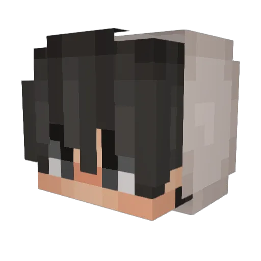 Blah_Octo Minecraft avatar head, 3D render