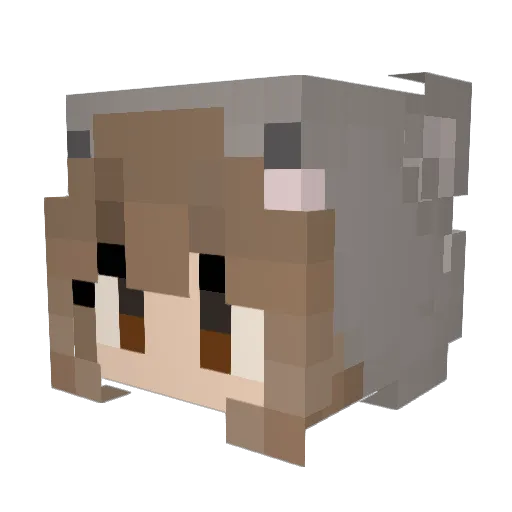 Blahaj42 Minecraft avatar head, 3D render
