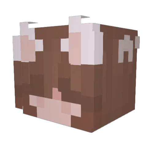 Blahalel2 Minecraft avatar head, 3D render