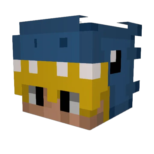 Blahdragoon_ Minecraft avatar head, 3D render