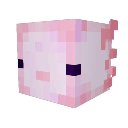 Blailer Minecraft avatar head, 3D render