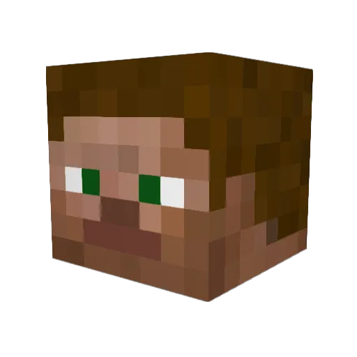 Blaine577 Minecraft avatar head, 3D render