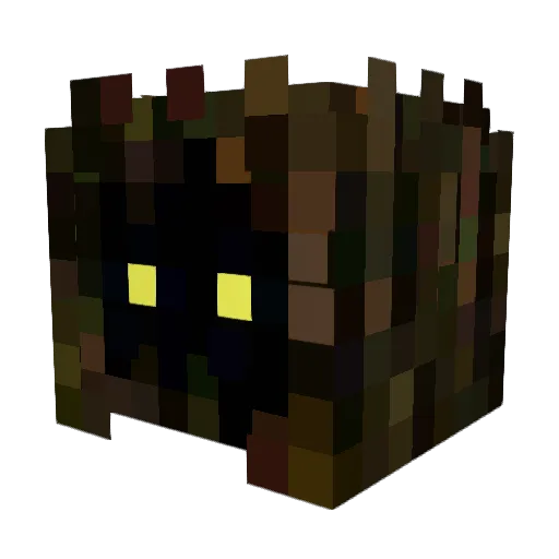 Blainethesane Minecraft avatar head, 3D render