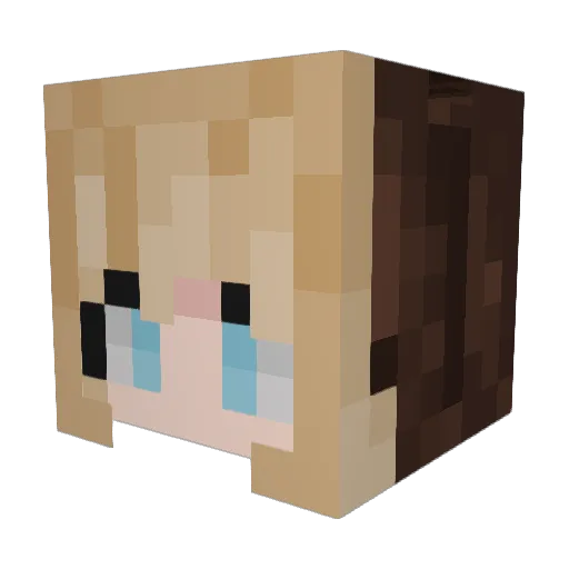 BlairBoges Minecraft avatar head, 3D render