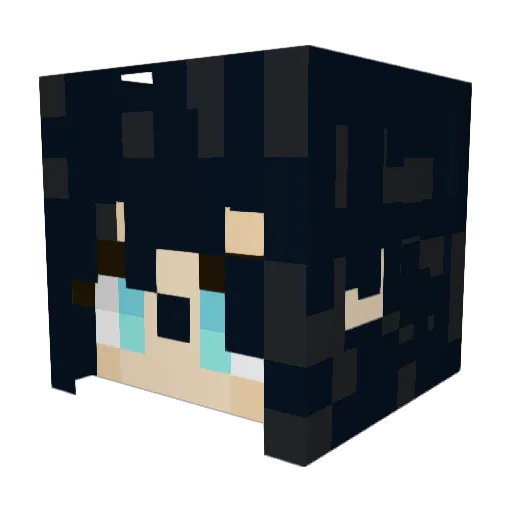 Blaize214 Minecraft avatar head, 3D render