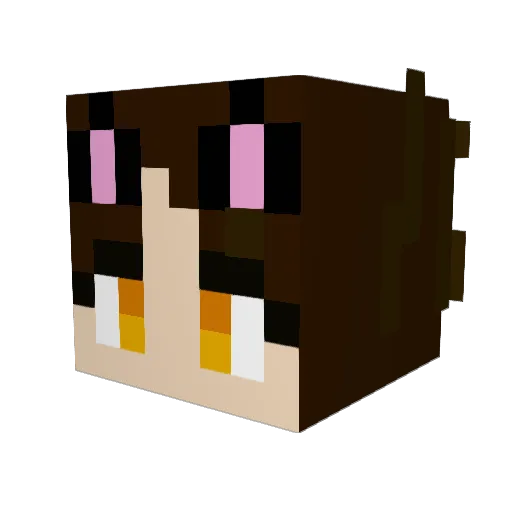 BlaizeTBC Minecraft avatar head, 3D render
