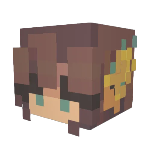Blak14 Minecraft avatar head, 3D render
