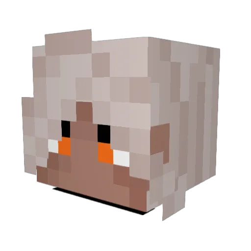 Blake054 Minecraft avatar head, 3D render