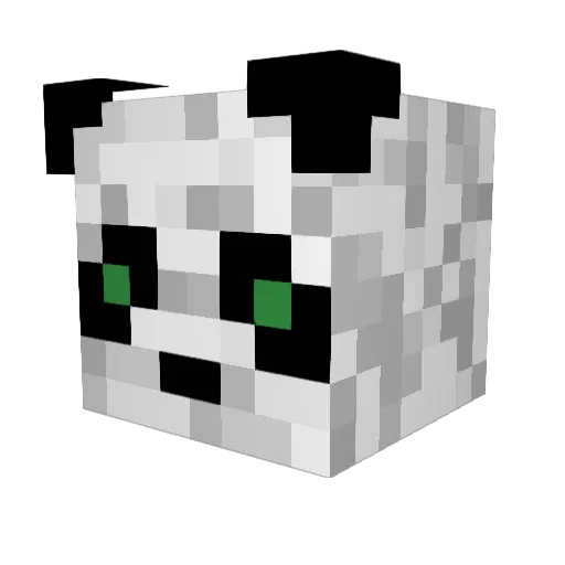Blake1107 Minecraft avatar head, 3D render