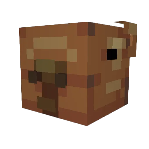 Blake66619 Minecraft avatar head, 3D render