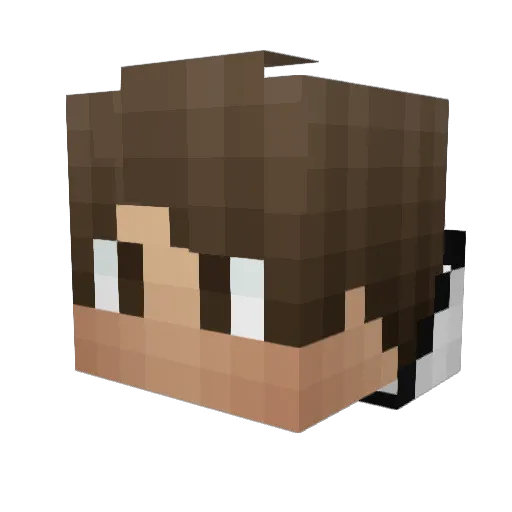 BlakeAroma Minecraft avatar head, 3D render