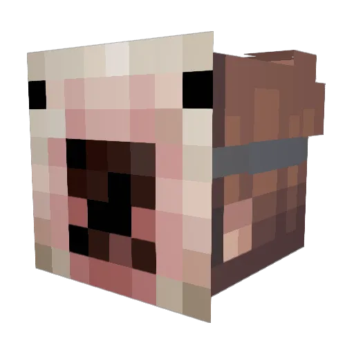 BlakeBrine14 Minecraft avatar head, 3D render