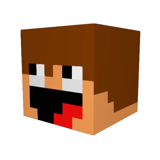 BlakeDaProGamer Minecraft avatar head, 3D render
