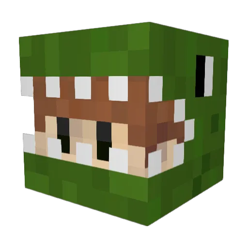 BlakeEvan Minecraft avatar head, 3D render