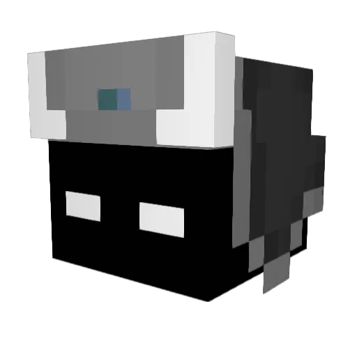 BlakeNUX Minecraft avatar head, 3D render