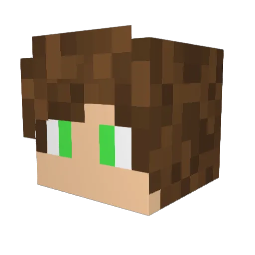BlakeWild Minecraft avatar head, 3D render