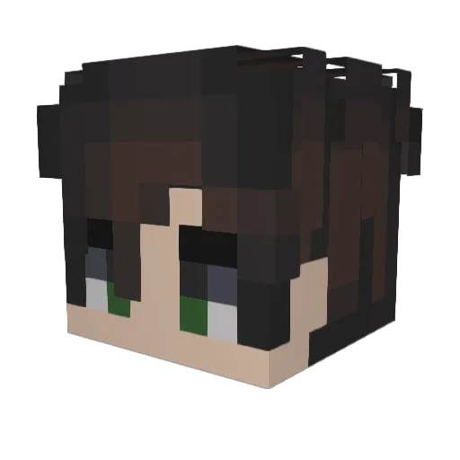 Blake_Petty Minecraft avatar head, 3D render