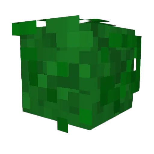 BlakednotFried Minecraft avatar head, 3D render
