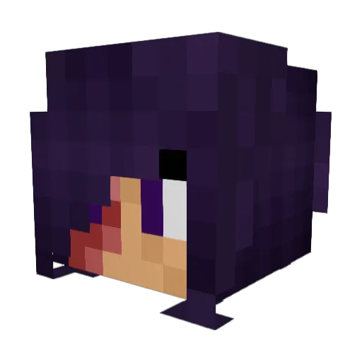 Blakeness_ Minecraft avatar head, 3D render