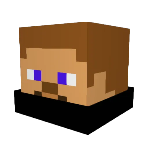 BlakerBoy6 Minecraft avatar head, 3D render