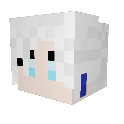 Blakeshadowcat Minecraft avatar head, 3D render
