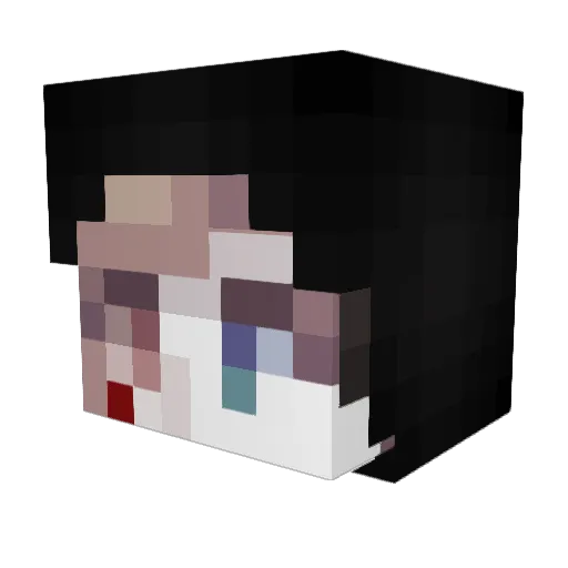 Blakiefunctional Minecraft avatar head, 3D render