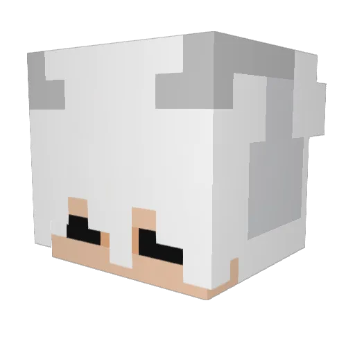 Blakin_ Minecraft avatar head, 3D render