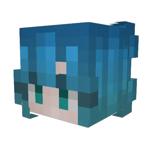 Blakon13 Minecraft avatar head, 3D render