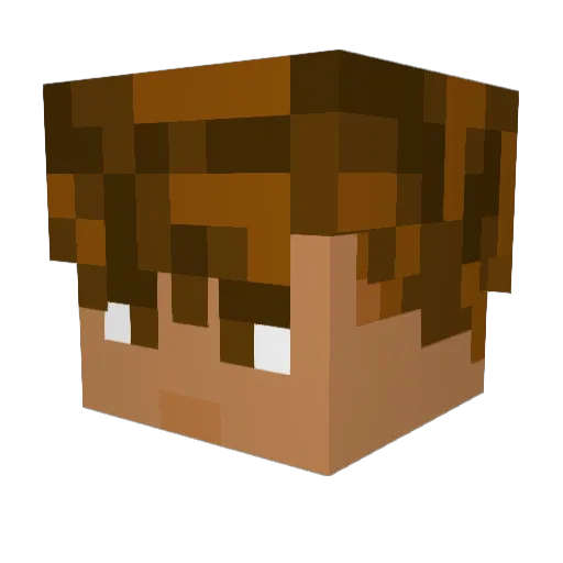 Blakpro13 Minecraft avatar head, 3D render