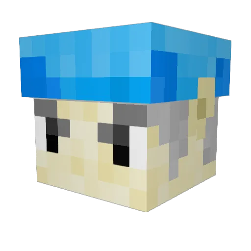 BlameCommunism69 Minecraft avatar head, 3D render