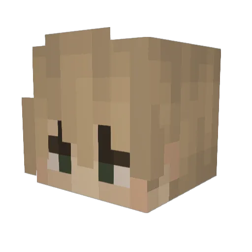 BlameExtra Minecraft avatar head, 3D render