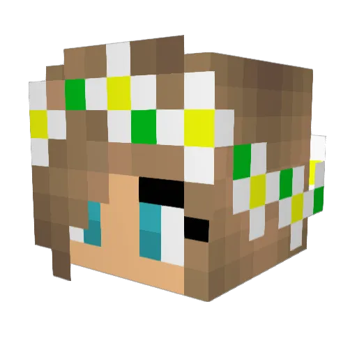 BlameParaleea Minecraft avatar head, 3D render