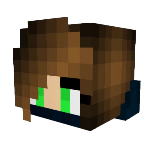 BlameTheDev Minecraft avatar head, 3D render