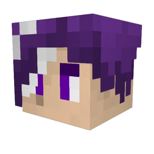 Blamnesia Minecraft avatar head, 3D render