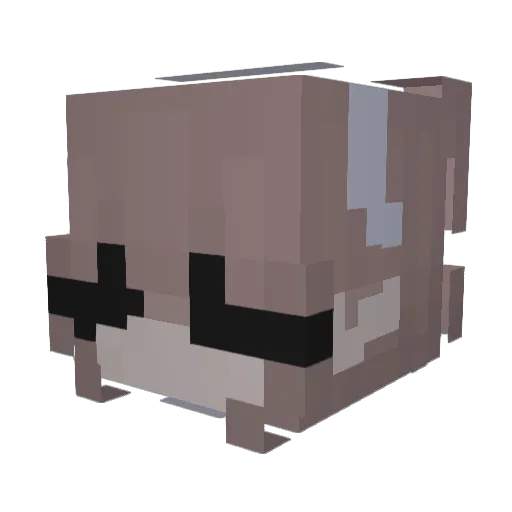 Blamxy Minecraft avatar head, 3D render