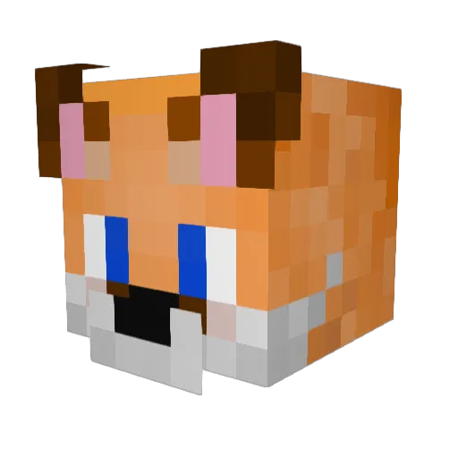 Blancaz Minecraft avatar head, 3D render