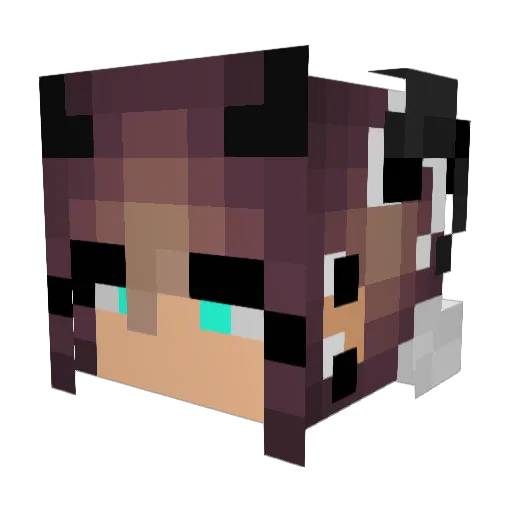 BlancoTM Minecraft avatar head, 3D render